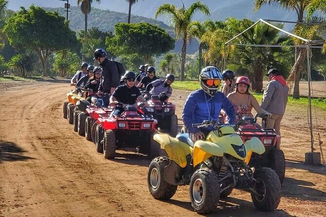 Enesenda Shore Excursion ATV Adventure with Tacos & wine tasting - Key highlights worth knowing