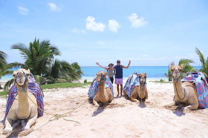 ENJOY UNIQUE CAMEL RIDE in Puerto Morelos with Transportation - Puerto Morelos Camel Riding: What Makes It Worth Your Time