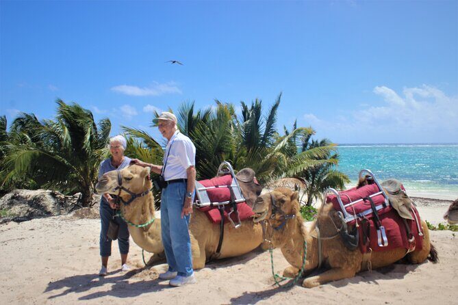 ENJOY UNIQUE CAMEL RIDE in Puerto Morelos with Transportation - Beach Club Time at El Dorado Maroma: Shade, Facilities, and Food Costs