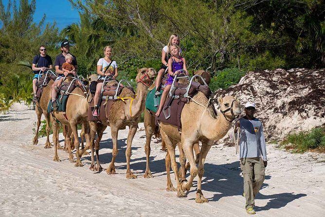 ENJOY UNIQUE CAMEL RIDE in Puerto Morelos with Transportation - Who This Is Best For (and Who Should Skip It)