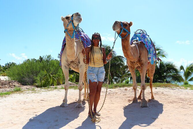 ENJOY UNIQUE CAMEL RIDE in Puerto Morelos with Transportation - Price and Value: Is $165 a Fair Deal?