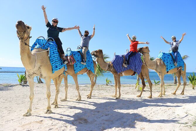 ENJOY UNIQUE CAMEL RIDE in Puerto Morelos with Transportation - Getting There From Cancun: Pickup, Van Time, and the Real Schedule