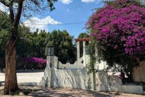 Epic Condesa and Roma Norte Walking Tour - Parque México and the Art Deco Track: Parks That Set the Pace