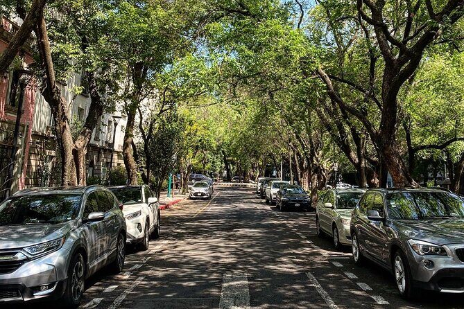 Epic Condesa and Roma Norte Walking Tour - Avenida Álvaro Obregón and Calle Orizaba: Streets Where Style Meets Real Life