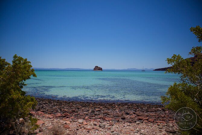 Espiritu Santo Island and sea lions - The beach time: relaxing vs. crowded