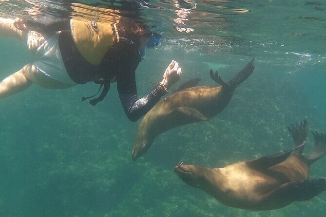 Espiritu Santo Island and sea lions - Lunch and snacks: the small details that add real value