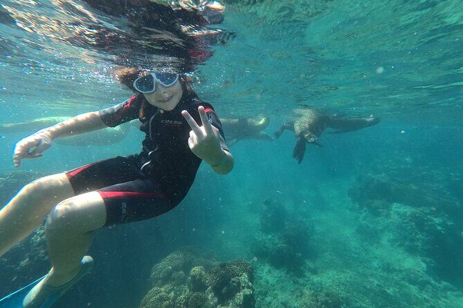 Espíritu Santo Island snorkel and sightseeing tour on Small Group - La Paz start to Espíritu Santo arrival: a 7-hour rhythm