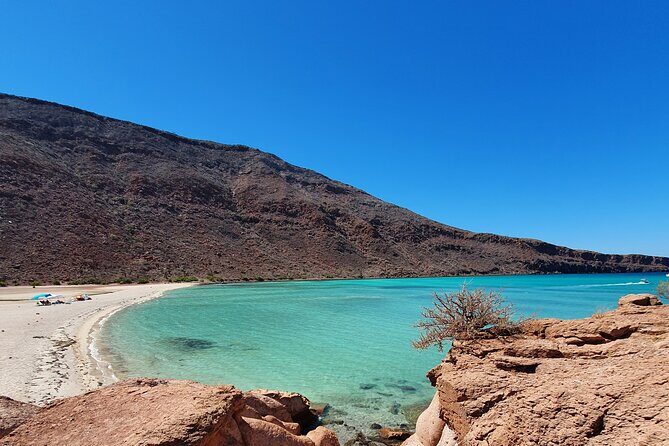 Espíritu Santo Island snorkel and sightseeing tour on Small Group - Price and logistics: what $179.12 includes, and what it doesn’t
