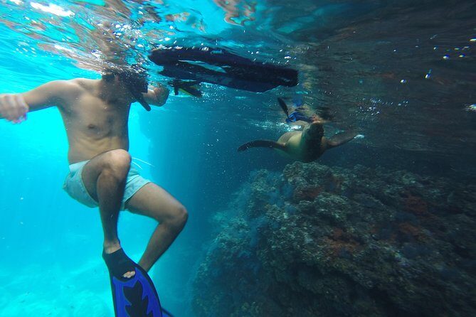 Espiritu Santo Island Snorkel & Sea Lion Adventure - Price and Value: $145 Plus the Cash-Only Fees