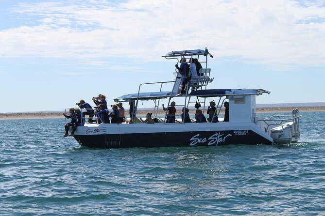 Espiritu Santo Island Snorkel & Sea Lion Adventure - Isla los Islotes: Snorkeling with Sea Lions in a Protected Bay