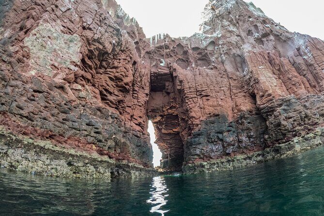 Espiritu Santo Island Snorkel & Sea Lion Adventure - Ensenada Grande Beach Time: Lunch, Swim Options, and Relax Mode