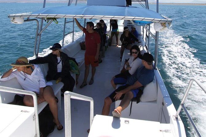 Espiritu Santo Island Snorkel & Sea Lion Adventure - The Boat Ride Perks: Shade, Comfort, and Wildlife Stops on the Way