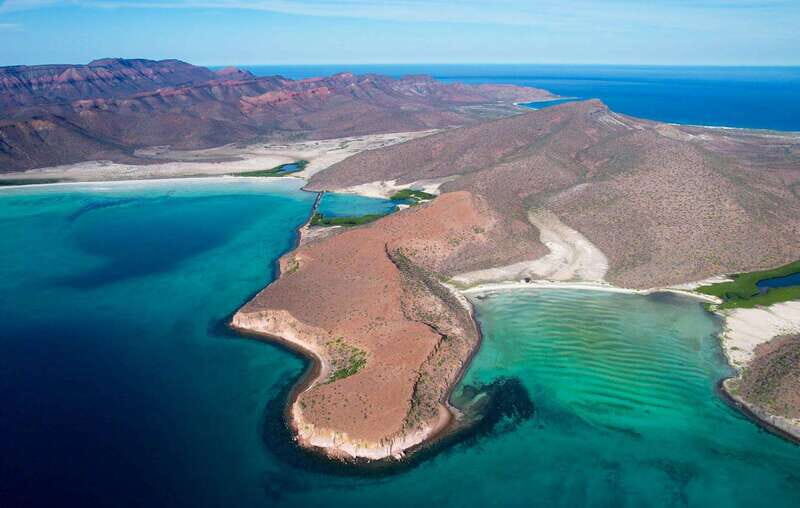 Espiritu Santo Island: Snorkeling Sea Lion Adventure - Reef Time and Extra Snorkel Options You Can Ask For
