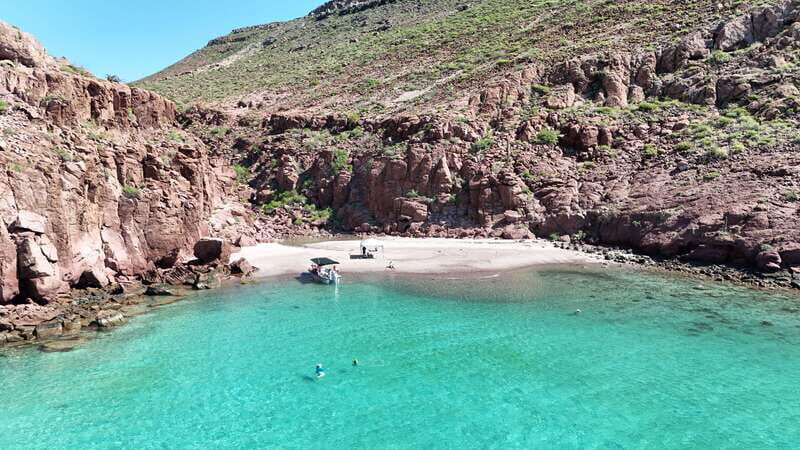 Espiritu Santo Island: Snorkeling Sea Lion Adventure - What to Bring: Simple Gear That Prevents a Miserable Day