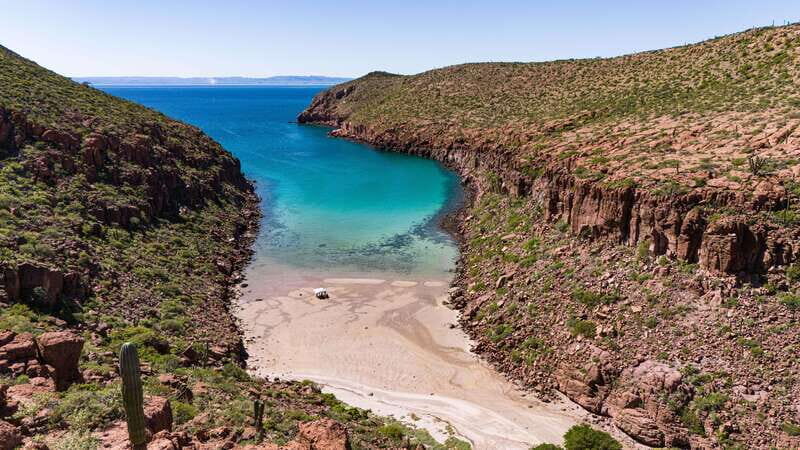 Espiritu Santo Island: Snorkeling Sea Lion Adventure - Safety and Animal Rules That Keep Things Smooth