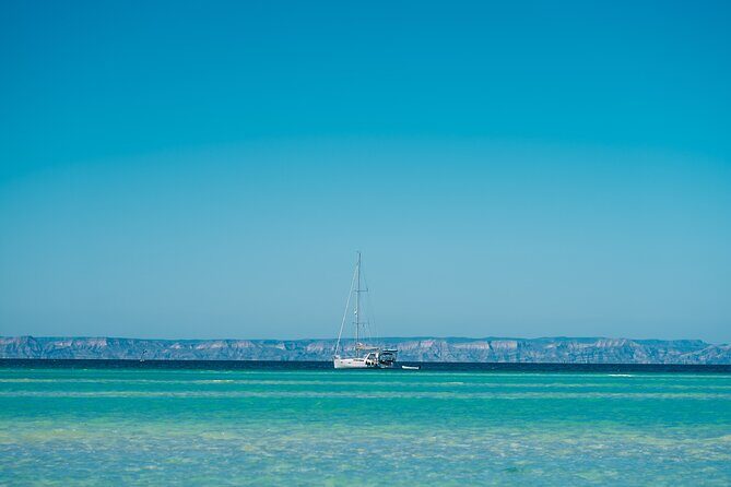 Espiritu Santo Island Tour - Stop 2: Isla Espíritu Santo Coral Reef Snorkel (That Real Fish Time)
