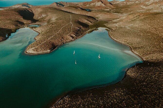Espiritu Santo Island Tour - Stop 3: Paradise Beaches on Isla Espíritu Santo + Lunch That Actually Fills You