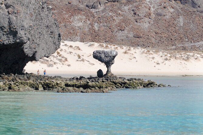Espiritu Santo Island Tour - Food, Gear, and Comfort: What’s Included (and What You Should Add)