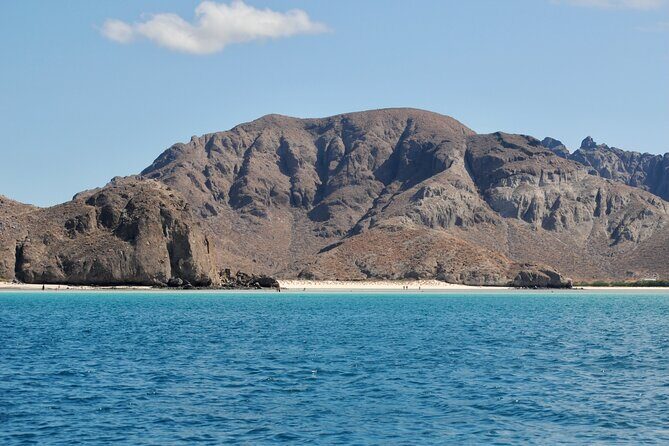 Espiritu Santo Island Tour - Value Check at $131.42: When This Trip Makes Sense