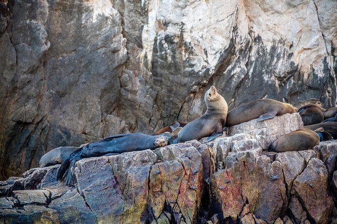 Espiritu Santo Island Tour - Boat, Time, and Group Size: The Practical Side That Changes Everything
