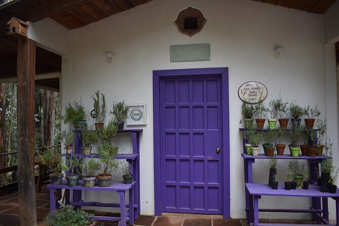 Ex hacienda, rancho de lavanda y Val'Quirico (private tour) - Why this Puebla plan feels easy: A/C pickup and three well-timed stops