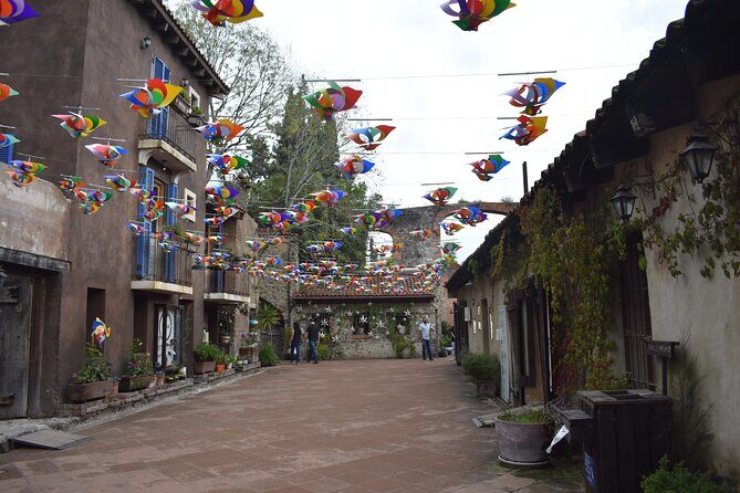 Ex hacienda, rancho de lavanda y Val'Quirico (private tour) - The guide-and-driver factor: why the day stays calm