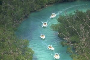 Exciting Speedboat & Snorkeling Tour in Cancun Lagoon! - Nichupté Lagoon: Mangroves, Mangrove-Logic, and a Different Side of Cancun