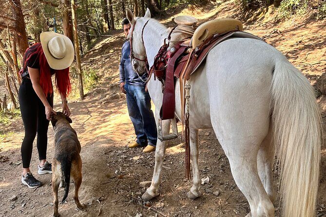 Exclusive Horseback Ride w/ Mexican Charros Family in México City - Lunch in the mountains: tacos, and the kind of meal that turns a ride into a memory