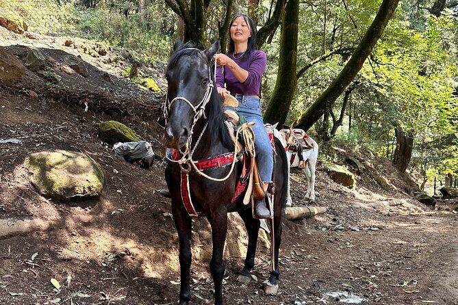 Exclusive Horseback Ride w/ Mexican Charros Family in México City - Charros-family safety: how they handle rescue horses and first-time riders