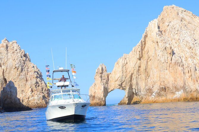Exclusive Phantom II Fishing in Cabo San Lucas - Fishing Grounds Strategy: What You Can Catch and What Happens to Marlin