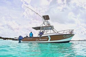 Exclusive Private Boat to El Cielo - Stops 1 and 2: Palancar Reef plus Colombia Deep Reef