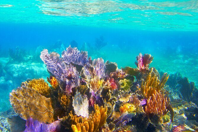Exclusive Private Boat to El Cielo - Playa El Cielo: Starfish flats, shallow water, and real breathing room