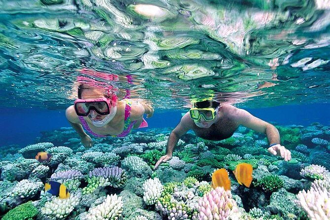 Exclusive Sailing Isla Mujeres. Top tour! - The Upgrade Game: When Platinum Makes Sense (and When It Doesn’t)
