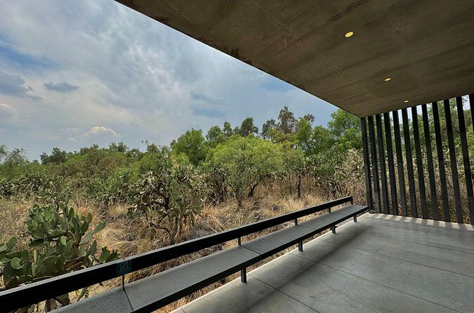 EXCLUSIVE TOUR at Diego Rivera Anahuacalli Museum - Small Groups - Small-Group Comfort Tips (So the Tour Stays Smooth)