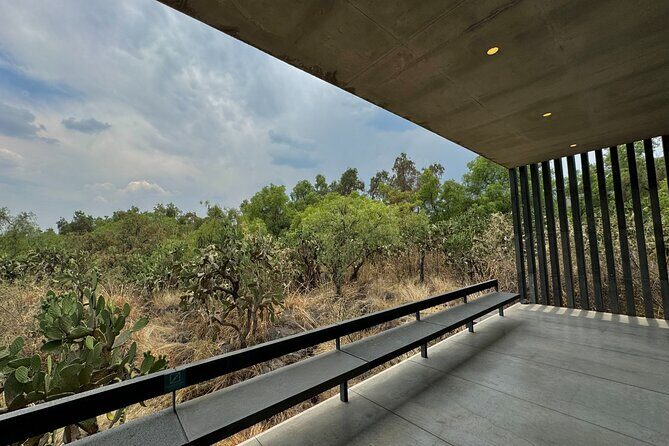 EXCLUSIVE TOUR at Diego Rivera Anahuacalli Museum - Small Groups - Should You Book This Tour?