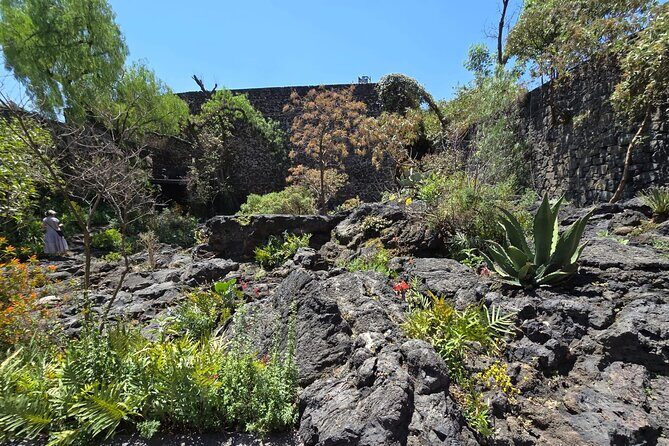 EXCLUSIVE TOUR Luis Barragán Casa Pedregal - small groups - Price and value: is $116.50 worth it?