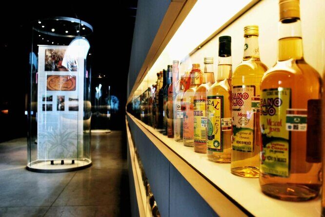 EXCLUSIVE TOUR Tequila & Mezcal - small groups - Key highlights you’ll care about