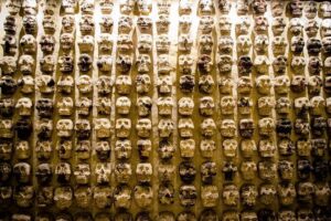 Exclusive tour to Templo Mayor in CDMX - Skip-the-line entry and what it means for your day