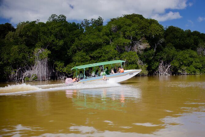 Excursion to Celestun Biosphere and Beach Day from Merida - Freshwater spring and the wildlife surprises