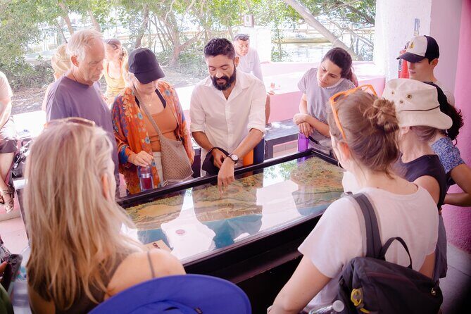 Excursion to Celestun Biosphere and Beach Day from Merida - Playa Norte Celestún: beach club time with real facilities