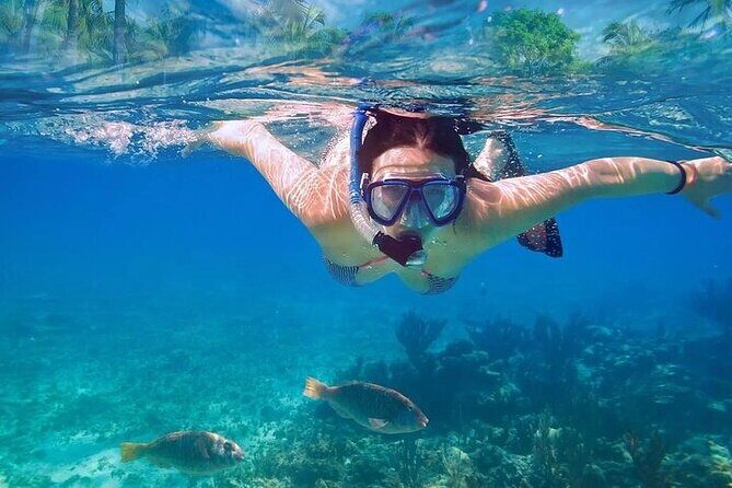 Exotik half a day tour: Cenote Cave and Swimming with Sea Turtles - Guides and Safety: What the Best Day Feels Like