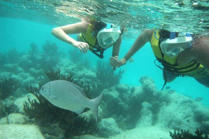 Exotik half a day tour: Cenote Cave and Swimming with Sea Turtles - Who This Tour Fits Best (and Who Should Rethink It)