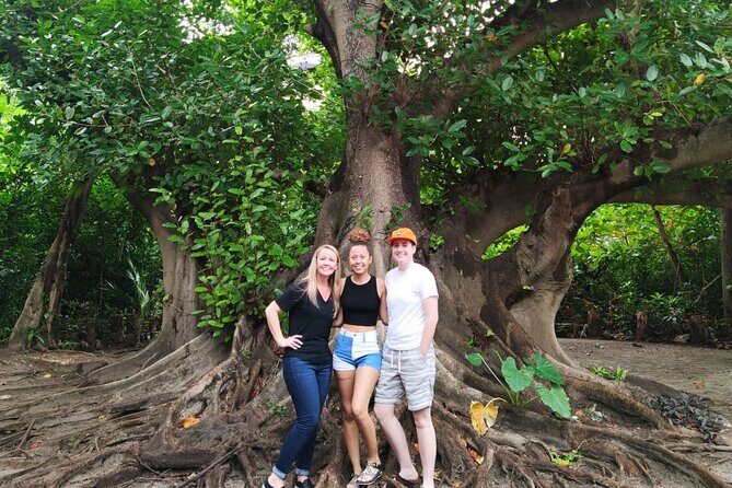 Experience Cancun's Hidden Gems, Mayan museum, cenote & Market 23 - Neen Ha cenote at El Pedregal: swim time with gear and a photo-friendly payoff