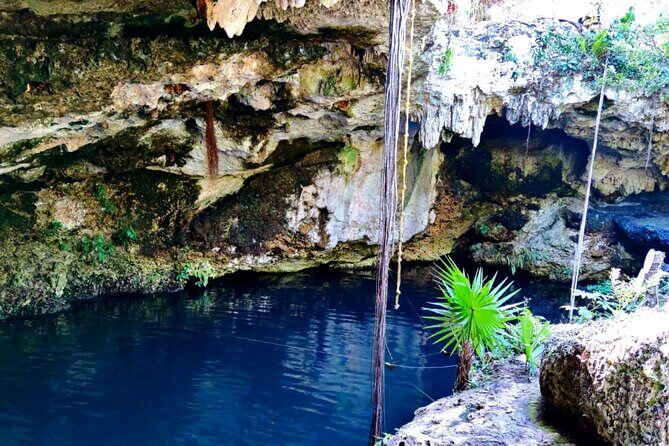 Experience Cancun's Hidden Gems, Mayan museum, cenote & Market 23 - What’s included (and why it matters more than you think)