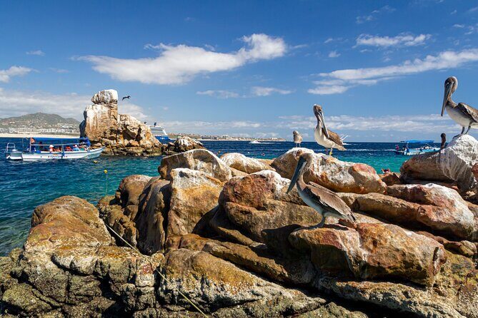 Experience the Clear Boat adventure & Cabo San Lucas City Tour - Clear Boat + Cabo Arch: why the views feel personal