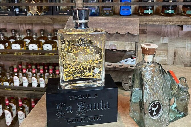 Experience the Clear Boat adventure & Cabo San Lucas City Tour - Stop 3: Plaza Amelia Wilkes for an old-town feel and photo breaks