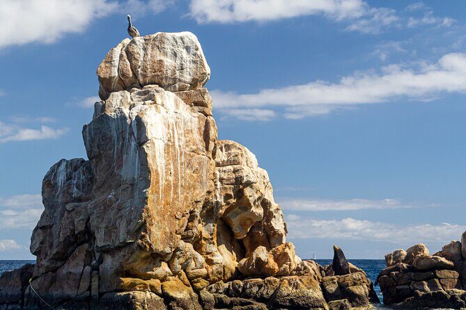 Experience the Clear Boat adventure & Cabo San Lucas City Tour - What about tequila, tacos, and drinks?