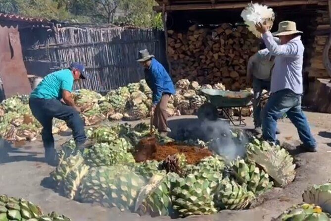 Experience the Mezcal Tour in Oaxaca - Meeting Point and the 9:15 Start From Oaxaca de Juárez