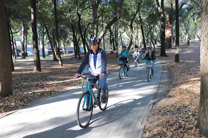 Explore Chapultepec & Mexico City sights by Bike - The Included Street-Food Snacks: How to Eat Without Losing the Ride