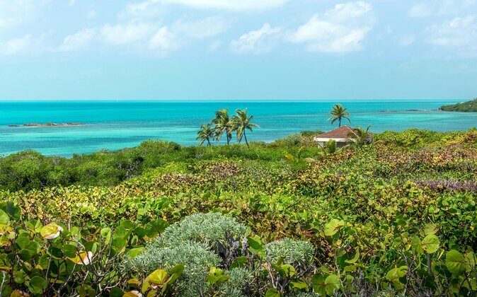 Explore Contoy Island - Key takeaways